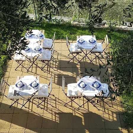 Aurivu Κατάλυμα σε φάρμα Vallebona