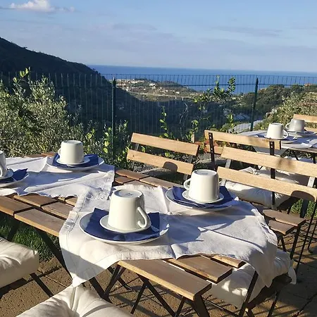 Farm stay Aurivu